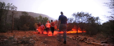 Alice Springs Desert Park - Accommodation Resorts 4