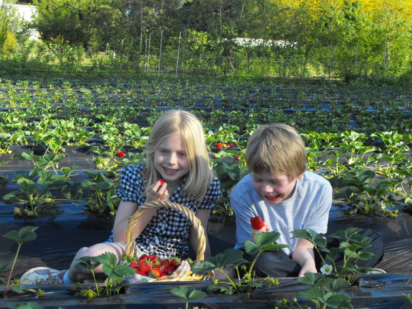  Accommodation Resorts