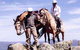 High Country Horses - thumb 3
