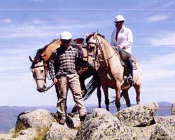 High Country Horses - Accommodation Resorts 3
