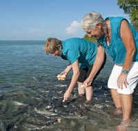 Aquascene Fish Feeding Sanctuary - Accommodation Resorts