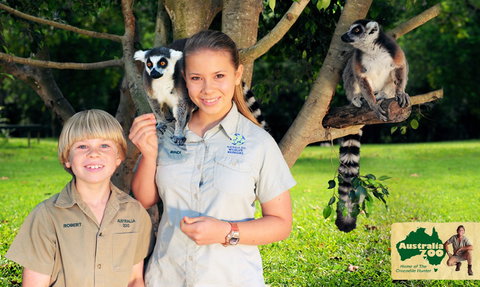 Australia Zoo - Accommodation Resorts 2