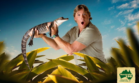 Australia Zoo - Accommodation Resorts 3