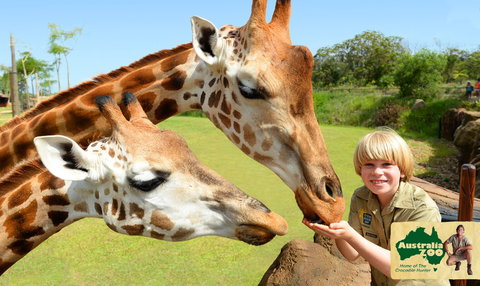 Australia Zoo - Accommodation Resorts 4