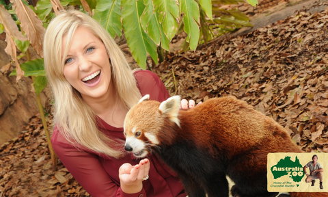 Australia Zoo - Accommodation Resorts 7