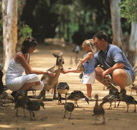 Billabong Sanctuary - Accommodation Resorts