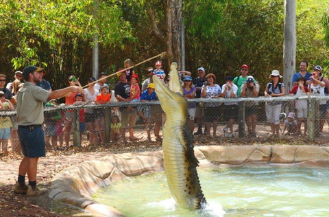 Billabong Sanctuary - Accommodation Resorts 2