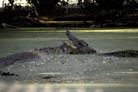 Billabong Sanctuary - Accommodation Resorts 3