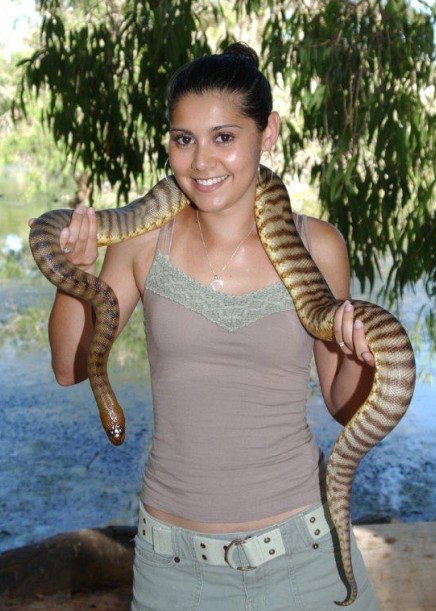 Billabong Sanctuary - Accommodation Resorts 4