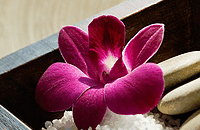 Blush Beauty Saloons - Accommodation Resorts 4