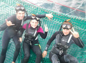 Dolphin Swim Australia - Accommodation Resorts 7