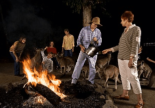 Cairns Night Zoo - Accommodation Resorts