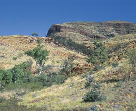 Accommodation Resorts