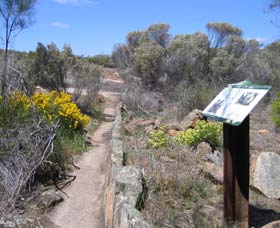 Wongan Hills WA Accommodation Resorts