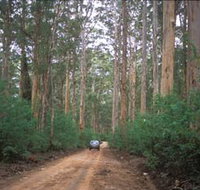 Boranup Drive - Accommodation Resorts