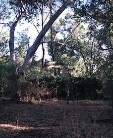 Ghost House Walk Trail, Yanchep National Park - Accommodation Resorts 0