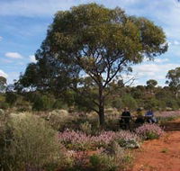 Karlkurla Bushland Park - Accommodation Resorts