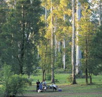 Big Brook Arboretum - Accommodation Resorts