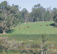 Scenic Drives - Bunbury Collie Donnybrook - Accommodation Resorts