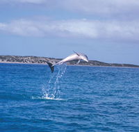 Steep Point - Accommodation Resorts