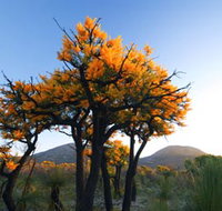 Cape Le Grand National Park - Accommodation Resorts