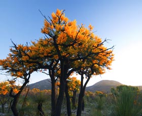 Cape Le Grand National Park - Accommodation Resorts 0