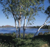 Celebrity Tree Park - Accommodation Resorts