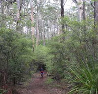 Margaret River Rails Trail - Accommodation Resorts