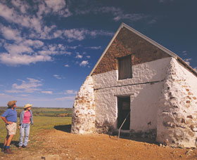 Accommodation Resorts