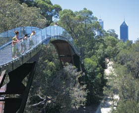 Lotterywest Federation Walkway - Accommodation Resorts 0