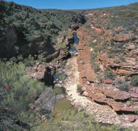 Ross Graham Lookout - Accommodation Resorts