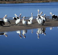 Peel Region Canoe Trails - Accommodation Resorts