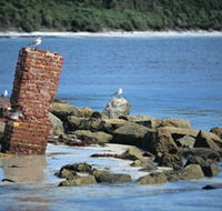 Whalers Beach - Accommodation Resorts