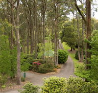Mount Lofty Botanic Garden - Accommodation Resorts