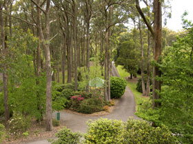 Mount Lofty Botanic Garden - Accommodation Resorts 0
