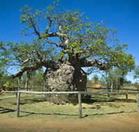 Pigeon Heritage Trail - Accommodation Resorts