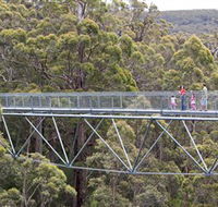 Walpole Wilderness Discovery Centre - Accommodation Resorts