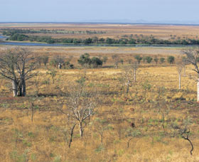 Telegraph Hill - Accommodation Resorts 0