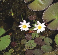 Parry Lagoons Nature Reserve - Accommodation Resorts