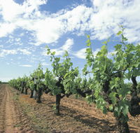 Blackwood Meadery - Accommodation Resorts