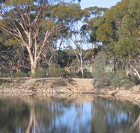 Merredin Railway Dam - Accommodation Resorts