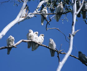 Carawine Gorge - Accommodation Resorts 0