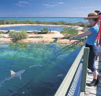 Shark Bay Marine Park - Accommodation Resorts