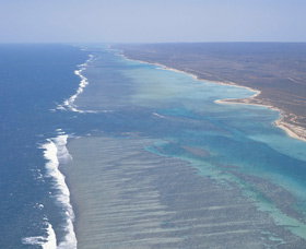 Mandu Sanctuary Zone - Accommodation Resorts 0