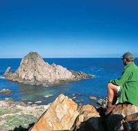 Sugarloaf Rock - Accommodation Resorts