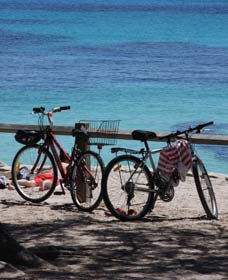 Parker Point Marine Snorkel Trail - Accommodation Resorts 0