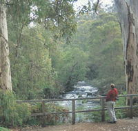 Cascades - Accommodation Resorts
