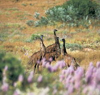 Jurabi Coastal Reserve - Accommodation Resorts