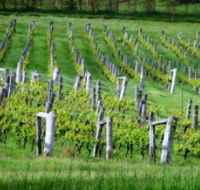 Sienna Estate Winery - Accommodation Resorts