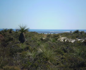 Lesueur National Park - Accommodation Resorts 0